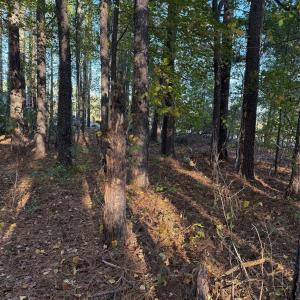 Photo #28 of 141 & 145 State, Clayton, NC