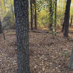 Photo #26 of 141 & 145 State, Clayton, NC