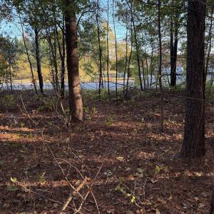 Photo #25 of 141 & 145 State, Clayton, NC