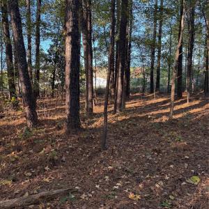 Photo #27 of 141 & 145 State, Clayton, NC