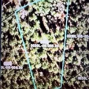 Photo #1 of 6339 Chimney Bluff, Lancaster, SC