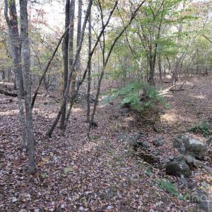 Photo #2 of 3537 Shillinglaw, Sharon, SC