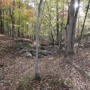 Photo #3 of 3537 Shillinglaw, Sharon, SC