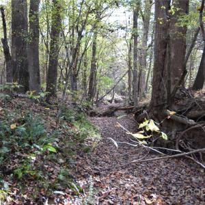 Photo #6 of 3537 Shillinglaw, Sharon, SC