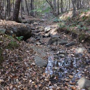 Photo #22 of 3537 Shillinglaw, Sharon, SC