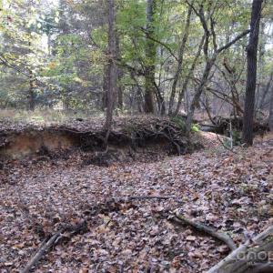 Photo #8 of 3537 Shillinglaw, Sharon, SC