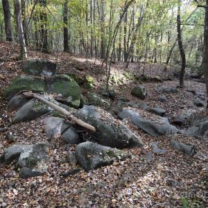 Photo #4 of 3537 Shillinglaw, Sharon, SC