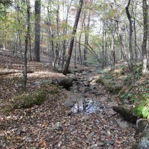 Photo #5 of 3537 Shillinglaw, Sharon, SC