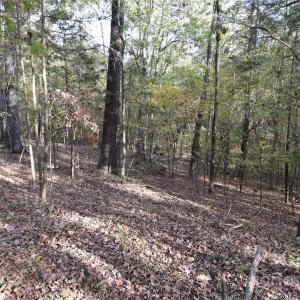 Photo #16 of 3537 Shillinglaw, Sharon, SC