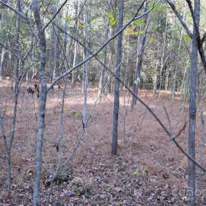 Photo #13 of 3537 Shillinglaw, Sharon, SC