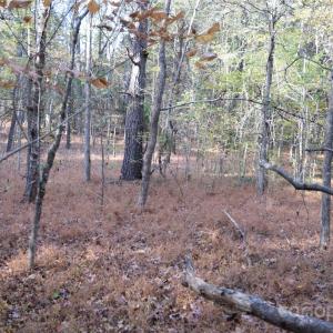 Photo #12 of 3537 Shillinglaw, Sharon, SC