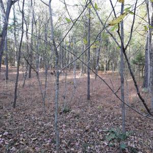 Photo #14 of 3537 Shillinglaw, Sharon, SC