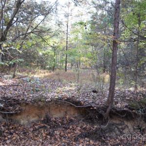 Photo #9 of 3537 Shillinglaw, Sharon, SC