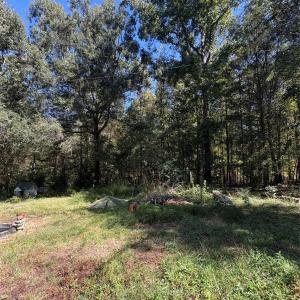 Photo #9 of 8101 Waxhaw Creek, Waxhaw, NC