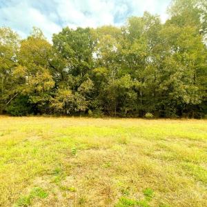 Photo #3 of 24990 Birdhouse, Locust, NC