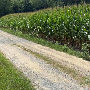 Photo #3 of 2 Acorn, Monroe, NC