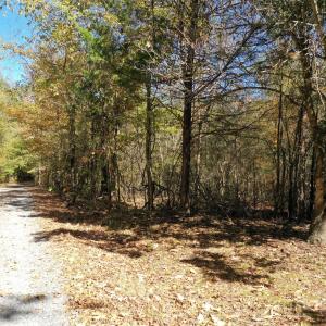 Photo #10 of NC 152, Rockwell, NC