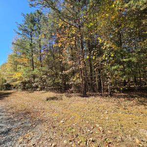 Photo #5 of NC 152, Rockwell, NC