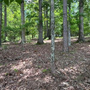 Photo #7 of 14528 Maritime, Lancaster, SC