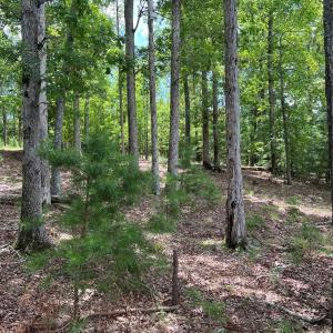 Photo #11 of 14528 Maritime, Lancaster, SC