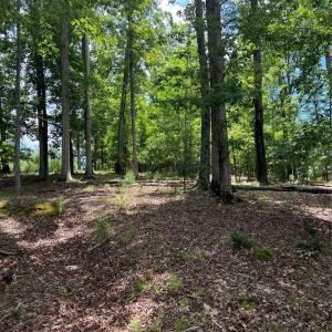 Photo #9 of 14528 Maritime, Lancaster, SC