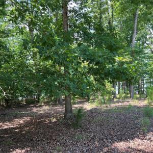 Photo #20 of 14528 Maritime, Lancaster, SC