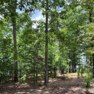 Photo #17 of 14528 Maritime, Lancaster, SC