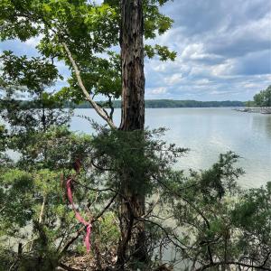 Photo #4 of 14528 Maritime, Lancaster, SC