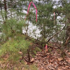 Photo #22 of 14528 Maritime, Lancaster, SC