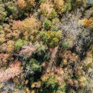 Photo #2 of 13562 Smith Ford, Hickory Grove, SC