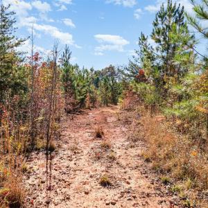 Photo #5 of 13562 Smith Ford, Hickory Grove, SC