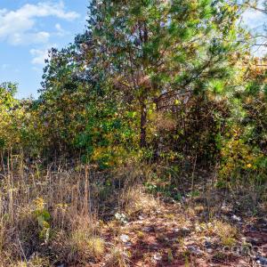 Photo #6 of 13562 Smith Ford, Hickory Grove, SC