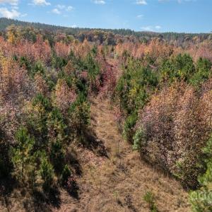 Photo #14 of 13562 Smith Ford, Hickory Grove, SC