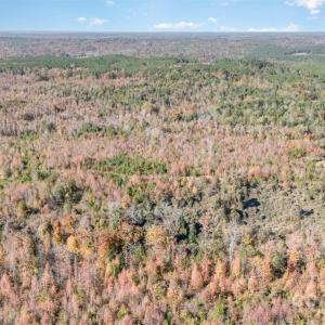 Photo #18 of 13562 Smith Ford, Hickory Grove, SC