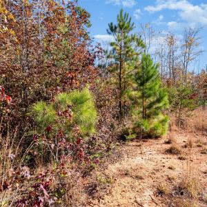 Photo #1 of 13562 Smith Ford, Hickory Grove, SC