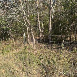 Photo #34 of White Store, Wingate, NC