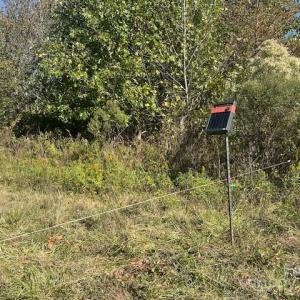 Photo #31 of White Store, Wingate, NC