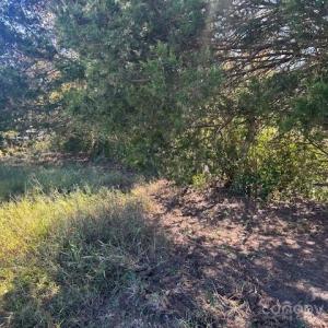 Photo #35 of White Store, Wingate, NC