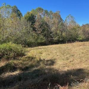 Photo #16 of White Store, Wingate, NC