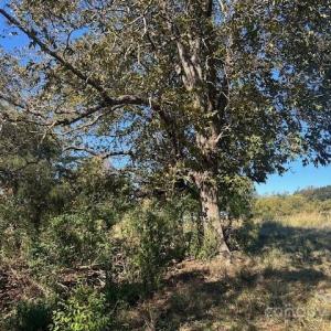 Photo #2 of White Store, Wingate, NC