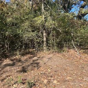 Photo #19 of White Store, Wingate, NC