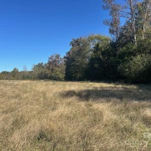 Photo #13 of White Store, Wingate, NC