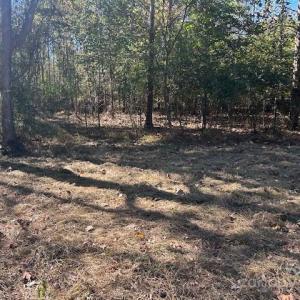 Photo #32 of White Store, Wingate, NC