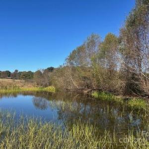 Photo #6 of White Store, Wingate, NC