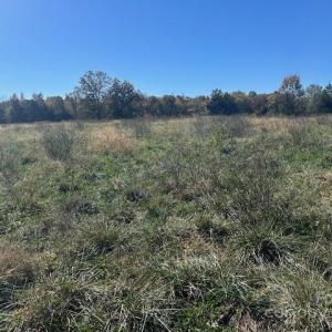 Photo #14 of White Store, Wingate, NC