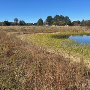 Photo #7 of White Store, Wingate, NC