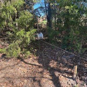 Photo #29 of White Store, Wingate, NC