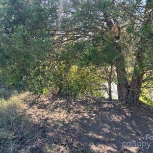 Photo #39 of White Store, Wingate, NC