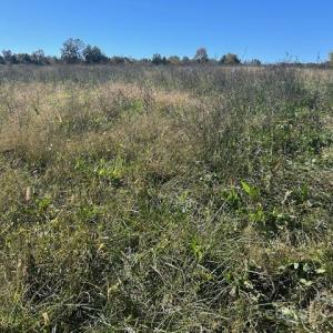 Photo #9 of White Store, Wingate, NC