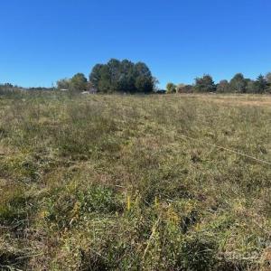 Photo #33 of White Store, Wingate, NC